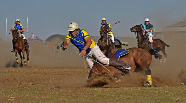 Donald Brotherston - Hit-the-dirt